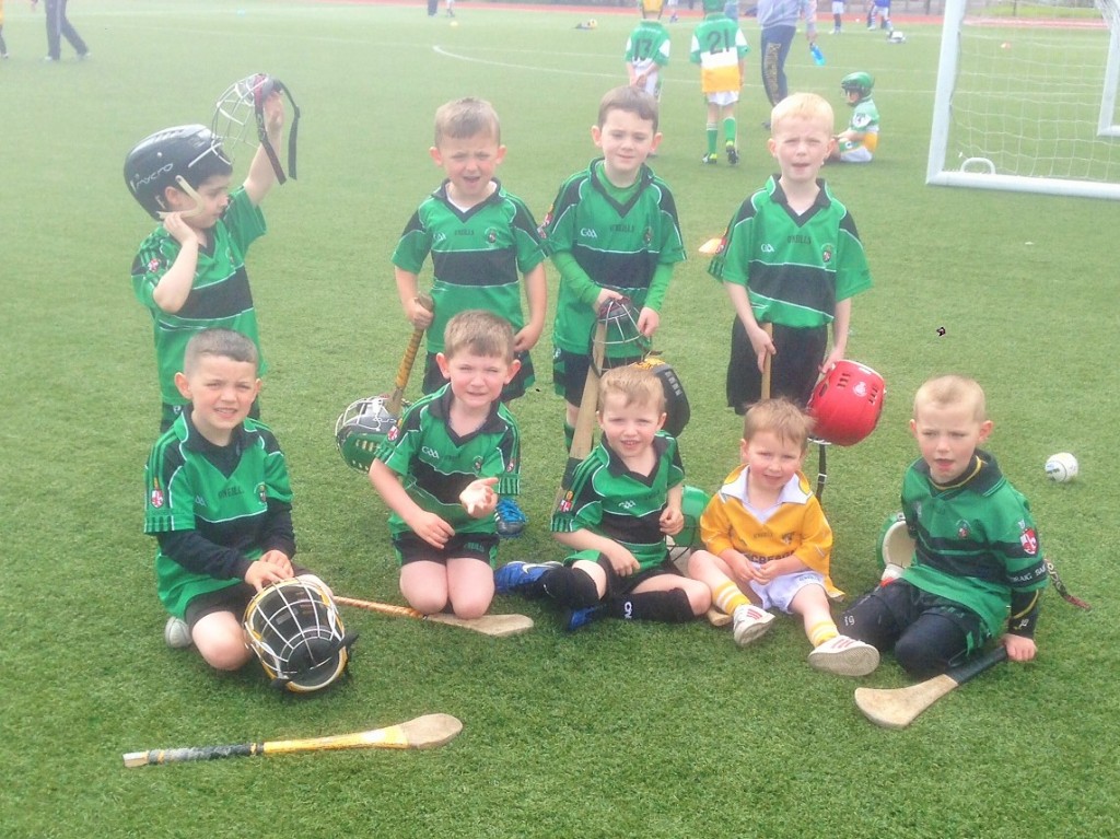 Sarsfields